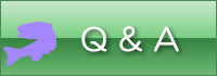 Q&A