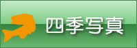 四季写真